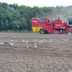 Boeren werkend op het land tussen De Waal en Oudeschild op 1 september 2016<br/>Copyright © JTravel.nl Boeren werkend op het land tussen De Waal en Oudeschild op 1 september 2016 / Copyright © JTravel.nl