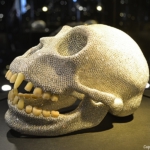 Klik hier om de informatie over Diamant Museum in Amsterdam te lezen De gorilla schedel die is ingelegd met 17.000 briljant geslepen diamanten in het Diamant Museum in Amsterdam / Copyright ยฉ JTravel.nl