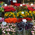 De Bloemenmarkt op 11 mei 2017 De Bloemenmarkt op 11 mei 2017