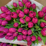 Verse tulpen te koop op de Bloemenmarkt in Amsterdam<br/>Copyright © JTravel.nl Verse tulpen te koop op de Bloemenmarkt in Amsterdam / Copyright © JTravel.nl