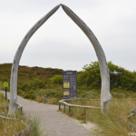 De entree tot het Duinpark in Ecomare in De Koog<br/>Copyright © JTravel.nl De entree tot het Duinpark in Ecomare in De Koog / Copyright © JTravel.nl