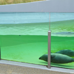 De adoptie zeehonden in Ecomare in De Koog<br/>Copyright © JTravel.nl De adoptie zeehonden in Ecomare in De Koog / Copyright © JTravel.nl