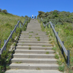 De Sluftertrap bij natuurgebied De Slufter<br/>Copyright © JTravel.nl De Sluftertrap bij natuurgebied De Slufter / Copyright © JTravel.nl