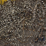 In de fabriekshal van Damen Shiprepair in Amsterdam Noord tijdens de Instameet 24H Noord<br/>Copyright ยฉ JTravel.nl In de fabriekshal van Damen Shiprepair in Amsterdam Noord tijdens de Instameet 24H Noord / Copyright ยฉ JTravel.nl