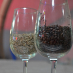 Tijdens de rondleiding bij Bierbrouwerij Oedipus in Amsterdam Noord tijdens de Instameet 24H Noord<br/>Copyright ยฉ JTravel.nl Tijdens de rondleiding bij Bierbrouwerij Oedipus in Amsterdam Noord tijdens de Instameet 24H Noord / Copyright ยฉ JTravel.nl