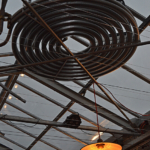 In de hoogste kas van Amsterdam HoogtIJ in Amsterdam Noord tijdens de Instameet 24H Noord<br/>Copyright ยฉ JTravel.nl In de hoogste kas van Amsterdam HoogtIJ in Amsterdam Noord tijdens de Instameet 24H Noord / Copyright ยฉ JTravel.nl