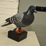 Een postduif tijdens de tentoonstelling Front 14/18 in het Waterliniemuseum in Bunnik<br/>Copyright © JTravel.nl Een postduif tijdens de tentoonstelling Front 14/18 in het Waterliniemuseum in Bunnik / Copyright © JTravel.nl