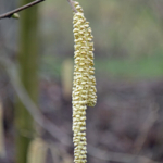 De lente komt er aan in het Waterliniemuseum in Bunnik<br/>Copyright © JTravel.nl De lente komt er aan in het Waterliniemuseum in Bunnik / Copyright © JTravel.nl