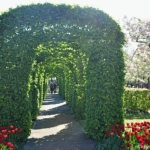 In de Keukenhof<br/>Copyright © JTravel.nl In de Keukenhof / Copyright © JTravel.nl