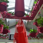 Het thema 'Romantiek in Bloemen' tijdens de orchideeën- en anturiumshow in het Beatrix Paviljoen<br/>Copyright © JTravel.nl Het thema 'Romantiek in Bloemen' tijdens de orchideeën- en anturiumshow in het Beatrix Paviljoen / Copyright © JTravel.nl