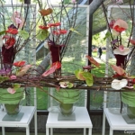 De orchideeën- en anturiumshow in het Beatrix Paviljoen<br/>Copyright © JTravel.nl De orchideeën- en anturiumshow in het Beatrix Paviljoen / Copyright © JTravel.nl
