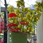 De orchideeën- en anturiumshow in het Beatrix Paviljoen<br/>Copyright © JTravel.nl De orchideeën- en anturiumshow in het Beatrix Paviljoen / Copyright © JTravel.nl