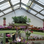De orchideeën- en anturiumshow in het Beatrix Paviljoen<br/>Copyright © JTravel.nl De orchideeën- en anturiumshow in het Beatrix Paviljoen / Copyright © JTravel.nl