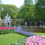 Waterpartij met flonders (val er niet in) in de Keukenhof<br/>Copyright © JTravel.nl Waterpartij met flonders (val er niet in) in de Keukenhof / Copyright © JTravel.nl