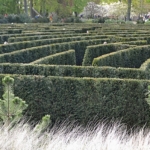 Het doolhof in de Keukenhof<br/>Copyright © JTravel.nl Het doolhof in de Keukenhof / Copyright © JTravel.nl