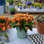 De tulpenshow in het Willem-Alexander Paviljoen<br/>Copyright © JTravel.nl De tulpenshow in het Willem-Alexander Paviljoen / Copyright © JTravel.nl