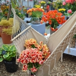 De tulpenshow in het Willem-Alexander Paviljoen<br/>Copyright © JTravel.nl De tulpenshow in het Willem-Alexander Paviljoen / Copyright © JTravel.nl