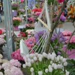 De bloemenshow in het Willem-Alexander Paviljoen<br/>Copyright © JTravel.nl De bloemenshow in het Willem-Alexander Paviljoen / Copyright © JTravel.nl