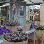 De bloemenshow in het Willem-Alexander Paviljoen<br/>Copyright © JTravel.nl De bloemenshow in het Willem-Alexander Paviljoen / Copyright © JTravel.nl