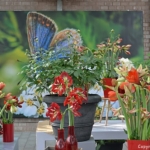 Amaryllissen in het Willem-Alexander Paviljoen<br/>Copyright © JTravel.nl Amaryllissen in het Willem-Alexander Paviljoen / Copyright © JTravel.nl