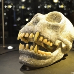 De in zilver gegoten gorilla schedel, ingelegd met 17.000 briljant geslepen diamanten in het Diamant Museum in Amsterdam<br/>Copyright ยฉ JTravel.nl De in zilver gegoten gorilla schedel, ingelegd met 17.000 briljant geslepen diamanten in het Diamant Museum in Amsterdam / Copyright ยฉ JTravel.nl