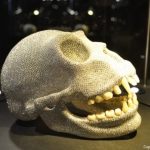 De in zilver gegoten gorilla schedel, ingelegd met 17.000 briljant geslepen diamanten in het Diamant Museum in Amsterdam<br/>Copyright ยฉ JTravel.nl De in zilver gegoten gorilla schedel, ingelegd met 17.000 briljant geslepen diamanten in het Diamant Museum in Amsterdam / Copyright ยฉ JTravel.nl
