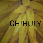 De tentoonstelling van glaskunstenaar Dale Chihuly in het Groninger Museum in Groningen<br/>Copyright © JTravel.nl De tentoonstelling van glaskunstenaar Dale Chihuly in het Groninger Museum in Groningen