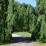 Het Beatrixpark tijdens de groene wandeling Zuidas in Amsterdam<br/>Copyright ยฉ JTravel.nl Het Beatrixpark tijdens de groene wandeling Zuidas in Amsterdam / Copyright ยฉ JTravel.nl