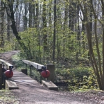 Eรฉn van de vele bruggen in het Amsterdamse Bos in Amsterdam<br/>Copyright ยฉ JTravel.nl Eรฉn van de vele bruggen in het Amsterdamse Bos in Amsterdam / Copyright ยฉ JTravel.nl