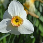 Het Beatrixpark tijdens de groene wandeling Zuidas in Amsterdam<br/>Copyright ยฉ JTravel.nl Het Beatrixpark tijdens de groene wandeling Zuidas in Amsterdam / Copyright ยฉ JTravel.nl