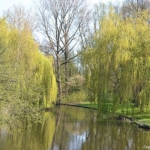 Het Beatrixpark tijdens de groene wandeling Zuidas in Amsterdam<br/>Copyright © JTravel.nl Het Beatrixpark tijdens de groene wandeling Zuidas in Amsterdam / Copyright © JTravel.nl