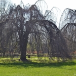 In het Beatrixpark in Amsterdam<br/>Copyright ยฉ JTravel.nl In het Beatrixpark in Amsterdam / Copyright ยฉ JTravel.nl
