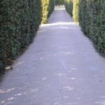 Het Dachaumonument in het Amsterdamse Bos in Amsterdam<br/>Copyright ยฉ JTravel.nl Het Dachaumonument in het Amsterdamse Bos in Amsterdam / Copyright ยฉ JTravel.nl