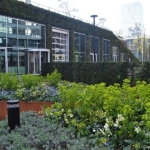 De CIRCL tijdens de groene wandeling Zuidas in Amsterdam<br/>Copyright © JTravel.nl De CIRCL tijdens de groene wandeling Zuidas in Amsterdam / Copyright © JTravel.nl