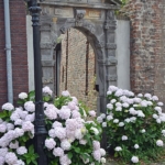 Een oude poort in het centrum van Woudrichem tijdens deel 3 van de Instameet Waterliniepad<br/>Copyright ยฉ JTravel.nl Een oude poort in het centrum van Woudrichem tijdens deel 3 van de Instameet Waterliniepad / Copyright ยฉ JTravel.nl