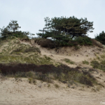 Lopend in de duinen van IJmuiden / Copyright © JTravel.nl
