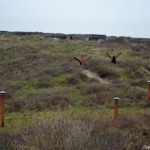 Achter het Bunker Museum in IJmuiden / Copyright © JTravel.nl
