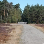 Klaphekje uit de Wezepsche Heide tijdens de achttiende etappe van het Westerborkpad<br/>Copyright ยฉ JTravel.nl Klaphekje uit de Wezepsche Heide tijdens de achttiende etappe van het Westerborkpad / Copyright ยฉ JTravel.nl