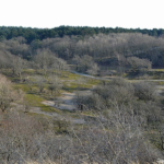 Bijna aan het einde van de bunkerroute in de Amsterdamse Waterleidingduinen op 24-2-2021<br/>Copyright ยฉ JTravel.nl Bijna aan het einde van de bunkerroute in de Amsterdamse Waterleidingduinen op 24-2-2021<br/>Copyright ยฉ JTravel.nl