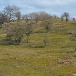 Het gebied in de buurt van het Museumduin en de Pollenberg tijdens de bunkerroute in de Amsterdamse Waterleidingduinen op 24-2-2021<br/>Copyright ยฉ JTravel.nl Het gebied in de buurt van het Museumduin en de Pollenberg tijdens de bunkerroute in de Amsterdamse Waterleidingduinen op 24-2-2021<br/>Copyright ยฉ JTravel.nl