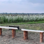 Theatervoorstelling Kiem tijdens Festival Grazende Zwaan op Landgoed Kleine Vennep in Nieuw-Vennep tijdens de Instameet Ode aan het landschap Noord-Holland in de Haarlemmermeer <br/>Copyright ยฉ JTravel.nl Theatervoorstelling Kiem tijdens Festival Grazende Zwaan op Landgoed Kleine Vennep in Nieuw-Vennep tijdens de Instameet Ode aan het landschap Noord-Holland in de Haarlemmermeer / Copyright ยฉ JTravel.nl