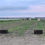 Theatervoorstelling Kiem tijdens Festival Grazende Zwaan op Landgoed Kleine Vennep in Nieuw-Vennep tijdens de Instameet Ode aan het landschap Noord-Holland in de Haarlemmermeer <br/>Copyright ยฉ JTravel.nl Theatervoorstelling Kiem tijdens Festival Grazende Zwaan op Landgoed Kleine Vennep in Nieuw-Vennep tijdens de Instameet Ode aan het landschap Noord-Holland in de Haarlemmermeer / Copyright ยฉ JTravel.nl