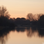 Zonsondergang in de Amsterdamse Waterleidingduinen op 21 december 2021<br/>Copyright ยฉ JTravel.nl Zonsondergang in de Amsterdamse Waterleidingduinen op 21 december 2021<br/>Copyright ยฉ JTravel.nl