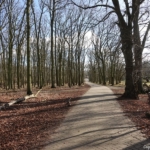 De Pannelanderweg tijdens de duinverhalen wandeling in de Amsterdamse Waterleidingduinen op 28 januari 2022<br/>Copyright © JTravel.nl De Pannelanderweg tijdens de duinverhalen wandeling in de Amsterdamse Waterleidingduinen op 28 januari 2022<br/>Copyright © JTravel.nl