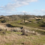 Langs de Duinpanweg tijdens de duinverhalen wandeling in de Amsterdamse Waterleidingduinen op 28 januari 2022<br/>Copyright © JTravel.nl Langs de Duinpanweg tijdens de duinverhalen wandeling in de Amsterdamse Waterleidingduinen op 28 januari 2022<br/>Copyright © JTravel.nl
