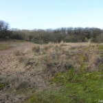 Duinen tijdens de duinverhalen wandeling in de Amsterdamse Waterleidingduinen op 28 januari 2022<br/>Copyright © JTravel.nl Duinen tijdens de duinverhalen wandeling in de Amsterdamse Waterleidingduinen op 28 januari 2022<br/>Copyright © JTravel.nl