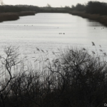 In de Amsterdamse Waterleidingduinen op 17 januari 2022<br/>Copyright ยฉ JTravel.nl In de Amsterdamse Waterleidingduinen op 17 januari 2022<br/>Copyright ยฉ JTravel.nl