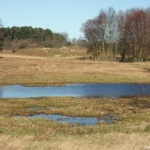 Groot Zwarteveld in de Amsterdamse Waterleidingduinen op 23 februari 2022<br/>Copyright ยฉ JTravel.nl Groot Zwarteveld in de Amsterdamse Waterleidingduinen op 23 februari 2022<br/>Copyright ยฉ JTravel.nl