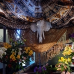 Alstroemeriashow in het Oranje Nassau paviljoen in de Keukenhof 2022<br/>Copyright ยฉ JTravel.nl Alstroemeriashow in het Oranje Nassau paviljoen in de Keukenhof 2022 / Copyright ยฉ JTravel.nl