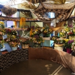 Alstroemeriashow in het Oranje Nassau paviljoen in de Keukenhof 2022<br/>Copyright ยฉ JTravel.nl Alstroemeriashow in het Oranje Nassau paviljoen in de Keukenhof 2022 / Copyright ยฉ JTravel.nl